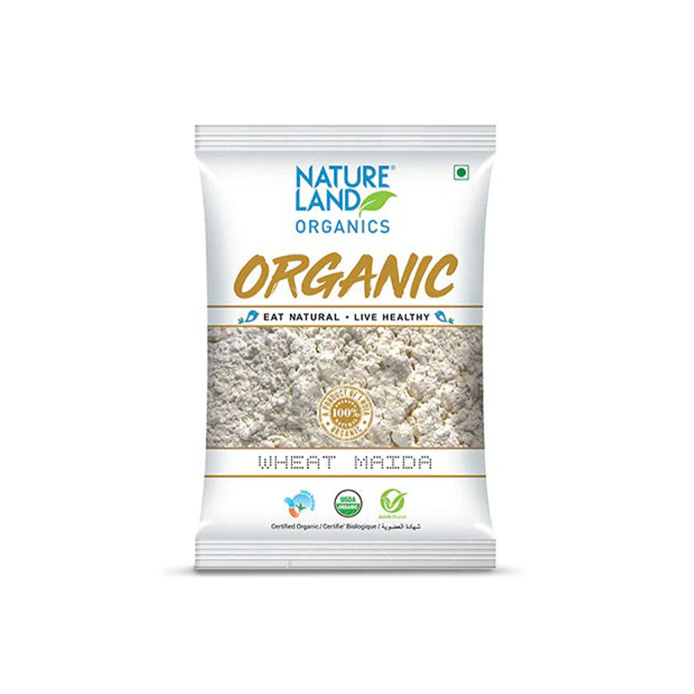 WHEAT MAIDA 500 GM
